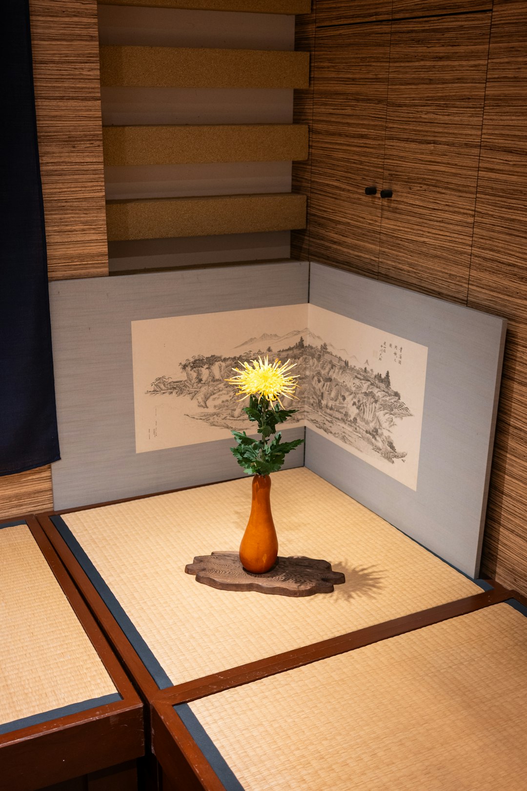 Mizu Candy Luxury Collection